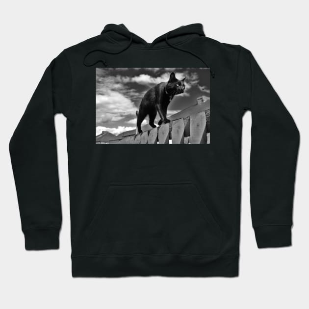 Cat on a Mission Hoodie by Ladymoose